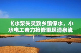 《水泵失灵致乡镇停水，小水电工奋力抢修重现清泉流》