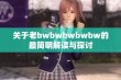 关于老bwbwbwbwbw的最简明解读与探讨