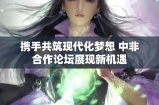 携手共筑现代化梦想 中非合作论坛展现新机遇