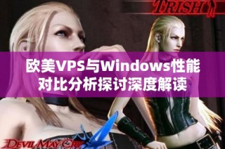 欧美VPS与Windows性能对比分析探讨深度解读