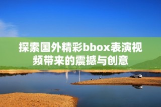 探索国外精彩bbox表演视频带来的震撼与创意