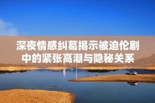 深夜情感纠葛揭示被迫伦剧中的紧张高潮与隐秘关系