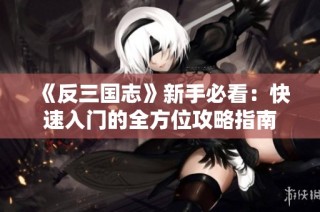 《反三国志》新手必看：快速入门的全方位攻略指南