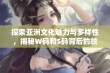 探索亚洲文化魅力与多样性，揭秘W码和S码背后的故事