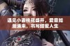 遇见小妻桃花盛开，爱意如潮涌来，书写甜蜜人生