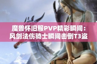 魔兽怀旧服PVP精彩瞬间：风剑法伤骑士瞬间击倒T3盗贼演示