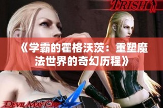 《学霸的霍格沃茨：重塑魔法世界的奇幻历程》