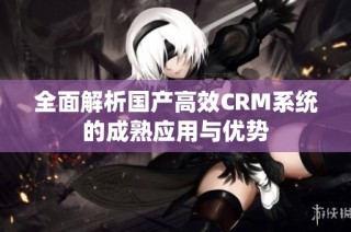 全面解析国产高效CRM系统的成熟应用与优势