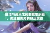 白洁与高义之间的爱恨纠葛，美红和美芳的命运交织