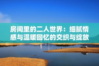 房间里的二人世界：细腻情感与温暖回忆的交织与绽放