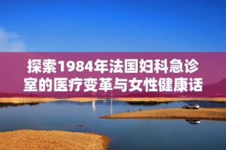 探索1984年法国妇科急诊室的医疗变革与女性健康话题