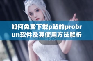 如何免费下载p站的probrun软件及其使用方法解析