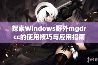 探索Windows野外mgdrcc的使用技巧与应用指南