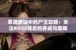 恶魔祭坛中的尸王攻略：关注BOSS背后的养成与策略