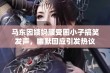 马东因姨妈腰受困小子搞笑发声，幽默回应引发热议