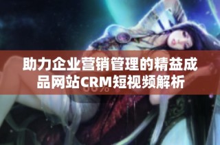 助力企业营销管理的精益成品网站CRM短视频解析