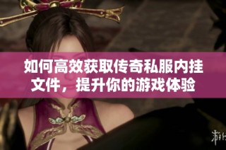 如何高效获取传奇私服内挂文件，提升你的游戏体验