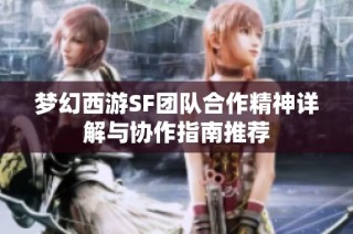 梦幻西游SF团队合作精神详解与协作指南推荐