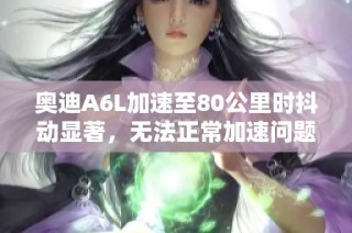 奥迪A6L加速至80公里时抖动显著，无法正常加速问题解析