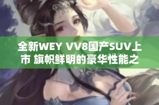 全新WEY VV8国产SUV上市 旗帜鲜明的豪华性能之选