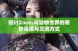 探讨Zoom与动物世界的奇妙连接与交流方式