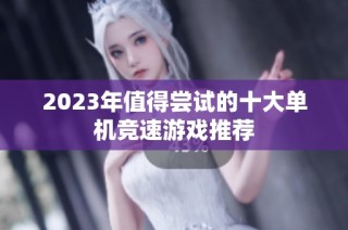 2023年值得尝试的十大单机竞速游戏推荐