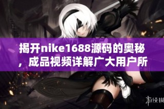 揭开nike1688源码的奥秘，成品视频详解广大用户所需