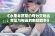 《水果与蔬菜的奇妙交响曲：黄瓜与榴莲的幽默故事》