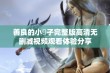 善良的小峓子完整版高清无删减视频观看体验分享