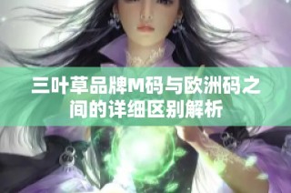 三叶草品牌M码与欧洲码之间的详细区别解析