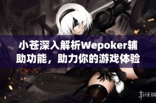 小苍深入解析Wepoker辅助功能，助力你的游戏体验