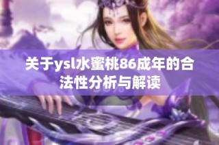 关于ysl水蜜桃86成年的合法性分析与解读