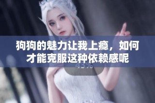 狗狗的魅力让我上瘾，如何才能克服这种依赖感呢