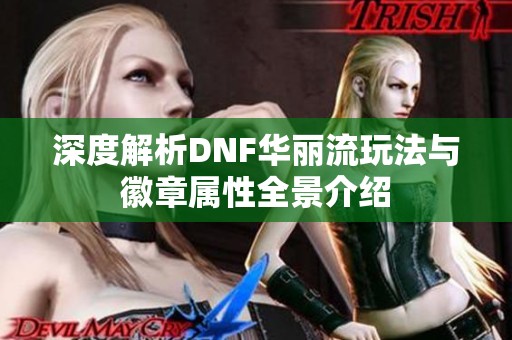 深度解析DNF华丽流玩法与徽章属性全景介绍