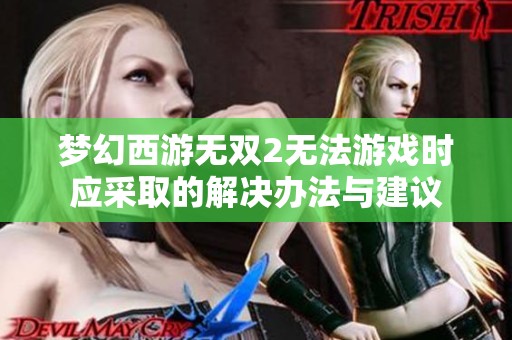 梦幻西游无双2无法游戏时应采取的解决办法与建议