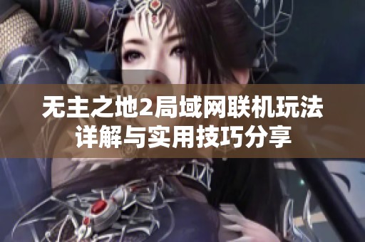 无主之地2局域网联机玩法详解与实用技巧分享