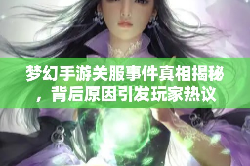 梦幻手游关服事件真相揭秘，背后原因引发玩家热议