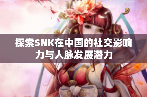 探索SNK在中国的社交影响力与人脉发展潜力