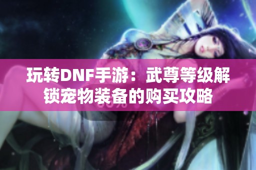 玩转DNF手游：武尊等级解锁宠物装备的购买攻略