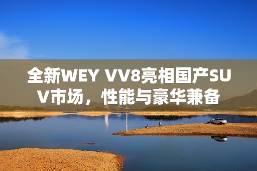 全新WEY VV8亮相国产SUV市场，性能与豪华兼备