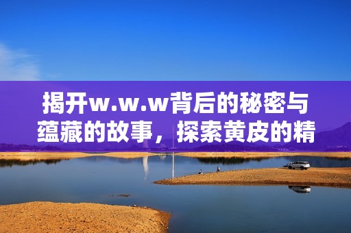 揭开w.w.w背后的秘密与蕴藏的故事，探索黄皮的精彩世界