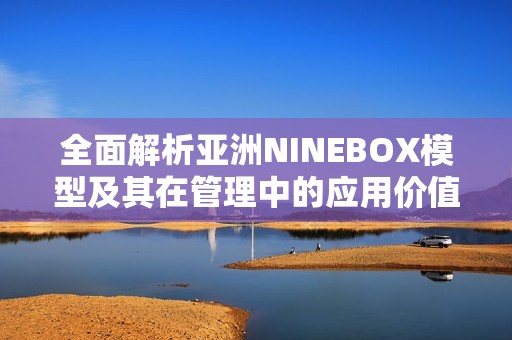 全面解析亚洲NINEBOX模型及其在管理中的应用价值