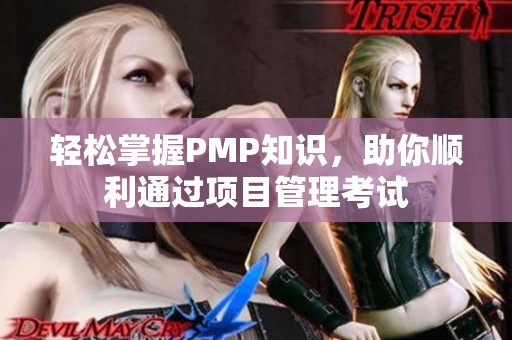 轻松掌握PMP知识，助你顺利通过项目管理考试