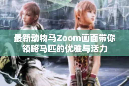 最新动物马Zoom画面带你领略马匹的优雅与活力