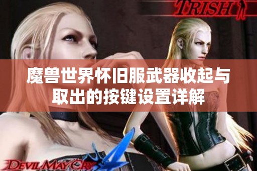 魔兽世界怀旧服武器收起与取出的按键设置详解