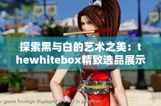 探索黑与白的艺术之美：thewhitebox精致选品展示