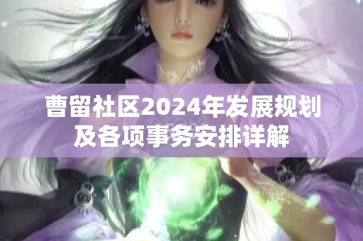 曹留社区2024年发展规划及各项事务安排详解