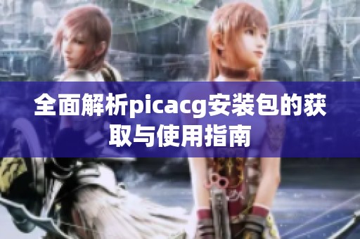 全面解析picacg安装包的获取与使用指南