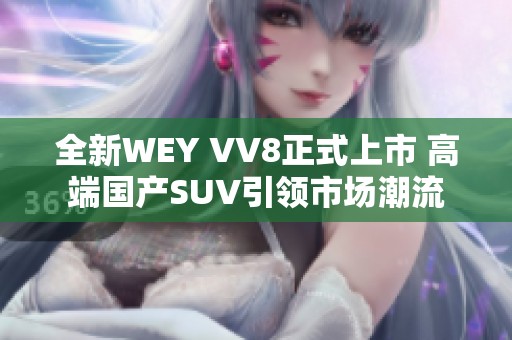 全新WEY VV8正式上市 高端国产SUV引领市场潮流