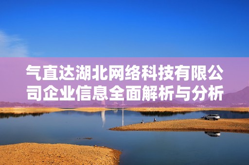 气直达湖北网络科技有限公司企业信息全面解析与分析